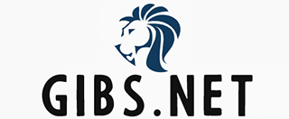 Global Internet Business Solutions